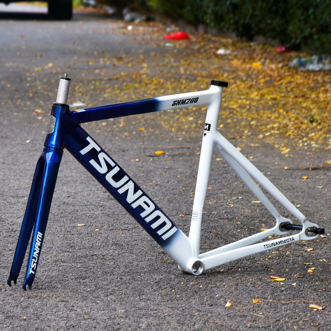 SNM200 Aluminum Alloy Fixed Ge - đánh giá và giá Cycling Commute Gear