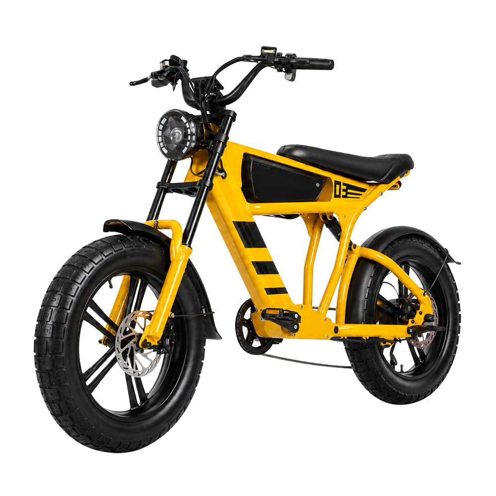 48V 18.2Ah 1000W Fat Tire Elec - đánh giá và giá Cycling Commute Speed