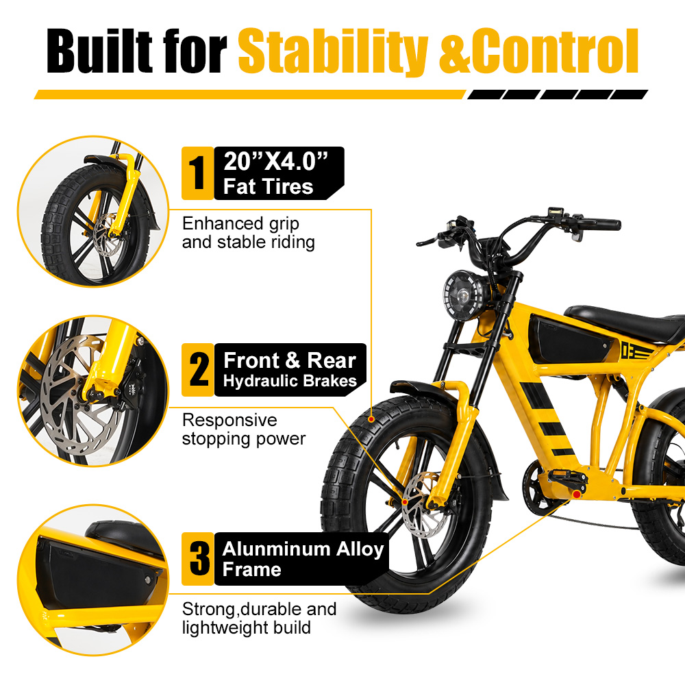48V 18.2Ah 1000W Fat Tire Elec - đánh giá và giá Cycling Commute Speed